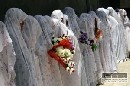 Bomba zabila v Afganistane najmenej 21 svadobčanov
