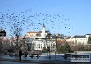 Nitriansky kraj hospodáril minulý rok so zostatkom štyri milióny eur