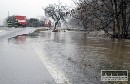  V Tulku trv III. stupe, bojuj tu s polmanmi stromami