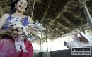 Čína zakázala dovoz bravčového mäsa z USA a Mexika