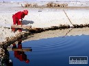 OPEC zvažuje mimoriadny míting, ak ceny ropy nestúpnu