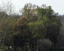V Sade Janka Kráľa v Petržalke pribudnú pamätné lavičky