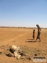 Sahara vďaka globálnemu otepľovaniu opäť ožíva
