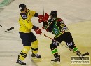 Samir Saliji v Žiline so zmluvou do konca sezóny