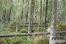 Beck bude na pomoc lesom potrebova poia 100 mil. eur