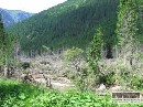 Lesy v Tichej a Kôprovej doline sú v katastrofálnom stave