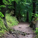 Turistické a cykloturistické trasy na Kysuciach budú udržiavanejšie