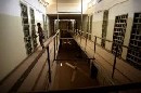 Poda aktivistov v japonskch vzniciach s nehumnne podmienky