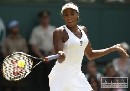 Na MS WTA Tour do Dauhy aj V. Williamsová a Azarenková