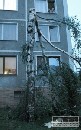 Smr niila vedenia v junej polovici zpadnho Slovenska