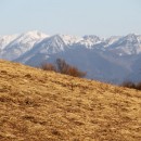 Pre Kysuce je vydan vstra 3. stupa pre nrazov vietor