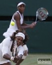 Serena a Venus možno s podielom na klube NFL Miami Dolphins