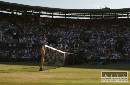 Vo štvrtok vo Wimbledone len mladí Slováci