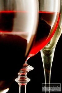 Úspech slovenských vinárov na prestížnej súťaži awc vienna ´08