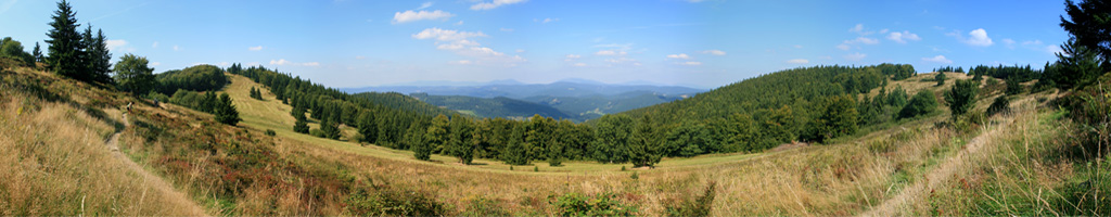 Regin Kysuce - foto Stanislav Hulita